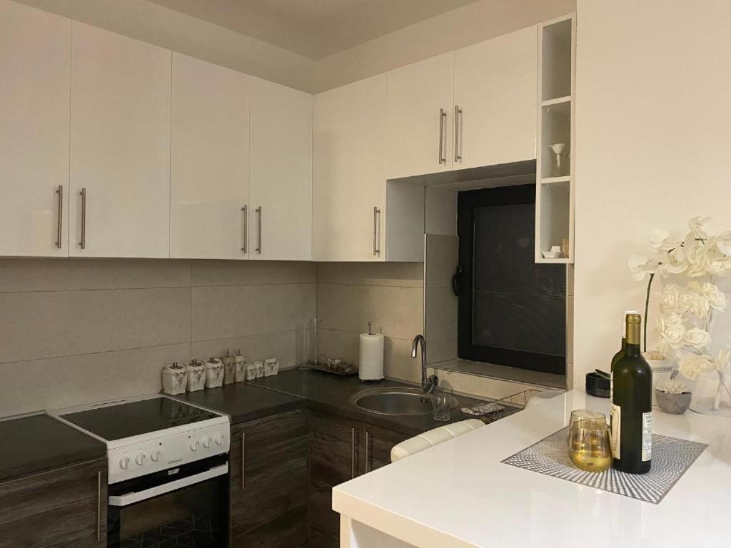 Zlatni Grad Apartment